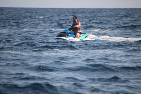 img_4656.JPG